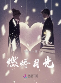 燃烬月光