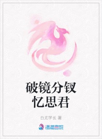 破镜分钗忆思君