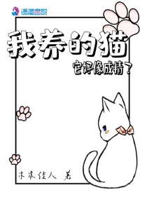 我养的猫它好像成精了